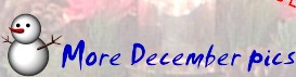 Back to Christmas Chronicle Home page