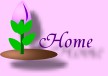 Christmas Chronicle Home page