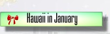 Hawaii in January