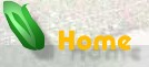 Back to Christmas Chronicle Home page
