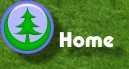 Back to Christmas Chronicle Home Page